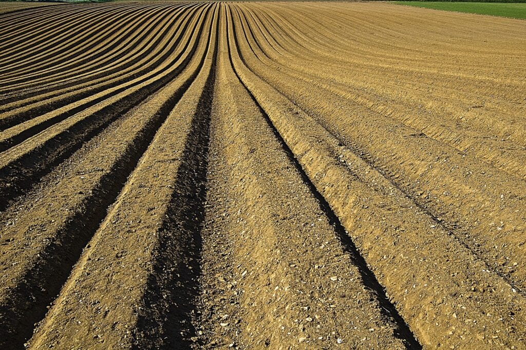 eDPZ - activated application for the procedure of revaluation of the fee for the use of state agricultural land eDPZ - activated application for the procedure of revaluation of the fee for the use of state agricultural land